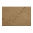 3329680290165-Pollen - 25 Cartes - 110 x 155 mm - 200g/m² - kraft-P_79431457_3-1