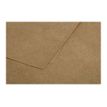 3329680290264-Pollen - 25 Cartes doubles - 110 x 155 mm - 200 g/m² - kraft-P_79431460_3-2