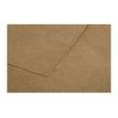 3329680290288-Pollen - 25 Cartes doubles - 135 x 135 mm - 200 g/m² - kraft-P_79431461_3-2