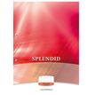 5411028070480-Splendid - Bloc de cours A4 - quadrillé 10x10 mm - 200 pages - perforation 2 trous - 70g-P_79433854_1-0