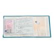 3135254598328-Viquel Bon Voyage - Etui de protection pour papiers de voiture - disponible dans différent-P_79434131_1-6