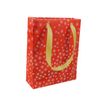 3329682128541-Clairefontaine Premium Scintillation Medium - sac cadeau-P_79434717_1-0