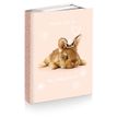 3661507015064-Agenda rembordé My Little Friends - 1 jour par page - 12x17 cm - 3 décors assortis - Kid'Abord--2