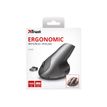 8713439221268-Trust Varo - souris sans fil ergonomique - noire-P_79438470_2-5