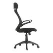 3397703298948-Fauteuil de bureau THEMIS - accoudoirs rabattables - appui-tête intégré - noir-P_79438715_5-4