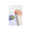 5014702031830-Avery - Pochette intercalaire 12 positions - A4 Maxi - polypropylène-P_79439739_2-4