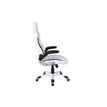 3700339883868-Fauteuil gamer DRIFT - accoudoirs fixes - Noir et blanc-P_79441196_2-1