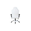 3700339883868-Fauteuil gamer DRIFT - accoudoirs fixes - Noir et blanc-P_79441196_3-2