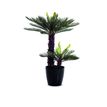3660141290042-Plante artificielle cycas - hauteur 80 cm-P_79441262_1-0
