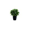 3660141290097-Plante artificielle laurier - hauteur 50 cm-P_79441267_1-0