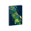 3371010425150-Quo Vadis Jungle Spirit - Carnet de notes 10 x 15 cm - ligné-P_79442144_3-0