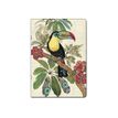 3700572731391-Kiub Bug Art - Carnet de notes A5 - ligné - 60 pages - Toucan-P_79442279_1-0