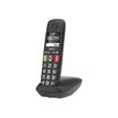 4250366856124-Gigaset E290 Duo - téléphone sans fil à grosse touche + combiné supplémentaire - blanc-P_79442771_1-0