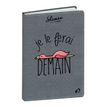3371010442539-Agenda Shaman - 1 jour par page - 12 x 17 cm - Demain - Quo Vadis-P_79443182_2-0