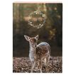 3664447077482-Cahier de textes Faon ou Ecureuil - 15,5 x 22 cm - Oberthur-P_79443756_3-2