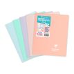 3037929514810-Clairefontaine Koverbook Blush - Cahier polypro 17 x 22 cm - 96 pages - grands carreaux (Seyes) - disponible dans -P_79443881_2-0