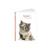 3592930017267-Agenda Chaton - 1 jour par page - 12 x 17 cm - Bouchut-P_79444726_3-3