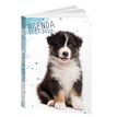 3592930015485-Agenda Chien - 1 jour par page - 12 x 17 cm - Bouchut-P_79444727_4-0