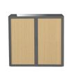 Paperflow easyOffice - Keukenkast - 2 planken - 2 deuren - metaal, polypropyleen, high-impact tinted polysterene - houtskool, strand