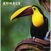 Bouchut Animaux sauvages - Calendrier illustré mensuel - 30 x 30 cm