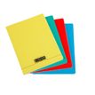 Clairefontaine Calligraphe 8000 - Notitieboek - geniet - A4 - 48 vellen / 96 pagina's - van ruiten voorzien - hoezen in verschillende kleuren - polypropyleen (PP)