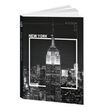 Bouchut Ville New-York - agenda