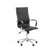 OfficePro Delaware - stoel