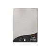 Clairefontaine Pollen - Zilver, iriserend - A4 (210 x 297 mm) - 120 g/m² - 50 vel(len) papier