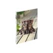oberthur CHATONS TWINS - ringband - voor A4