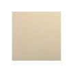 Clairefontaine - Papier dessin couleur à grain - feuille 50 x 65 cm - lichen