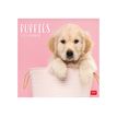 LEGAMI Photo Collection - kalender - 2023 - puppy's - 300 x 290 mm
