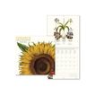 LEGAMI Special Edition - kalender - 2024 - herbarium - 300 x 290 mm