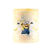 Clairefontaine Minions - Potloodbeker - rond