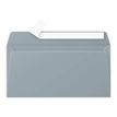Pollen - Enveloppe - International DL (110 x 220 mm) - portefeuille - open zijkant - zelfklevend - zilver - pak van 20