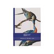 3700572809014-Kiub - Note book a5 oiseau bleu 29,7x21 - Collection encyclopedia par dyb--0