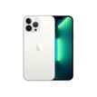 0194252698068-Apple iPhone 13 Pro Max - Smartphone - 5G - 128 Go - argent-Multi-angle-0