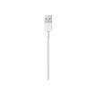 Apple - Câble Lightning - Lightning mâle pour USB mâle - 2 m