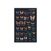 9782036022256-Petit Larousse illustré 2025 - livre-Close-up-8