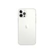 194252039274-Apple iPhone 12 Pro - Smartphone - 5G - 256 Go - argent-Back-2