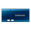 Samsung MUF-256DA - Clé USB 256 Go - USB-C 3.2 Gen 1 - bleu