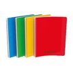 CONQUERANT Classique Polypro - Speciaal notitieboek - met draad gebonden - 170 x 220 mm - 50 vellen / 100 pagina's - wit papier - van ruiten voorzien - verkrijgbaar in verschillende kleuren - polypropyleen (PP)