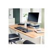 4002432134823-Leitz Ergo - Support pour moniteur - ajustable - gris foncé-Right-angle-3