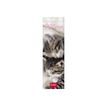 Legami - Calendrier marque-pages - 5,5 x 18 cm - 2024 - chatons