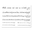 Figurato Messages - adhésif décoratif - citations - 345 x 490 mm - 2 feuilles