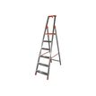 Safetool - Ladder - 5 stappen - aluminium