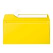 Pollen - Enveloppe - International DL (110 x 220 mm) - portefeuille - open zijkant - zelfklevend - zon - pak van 20