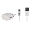 BigBen - chargeur secteur pour iphone 5 - 1 USB + 1 câble de charge - blanc