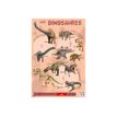 Bouchut - Poster Les Dinosaures - 52 x 76 cm