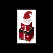 Clairefontaine - Set de boîtes cadeaux 'Père Noël' - 3 pièces