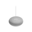 Google Home Mini - with Philips Hue Light Bulb - slimme luidspreker